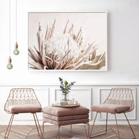 Thumbnail for 50cmx70cm Pure Protea II White Frame Canvas Wall Art