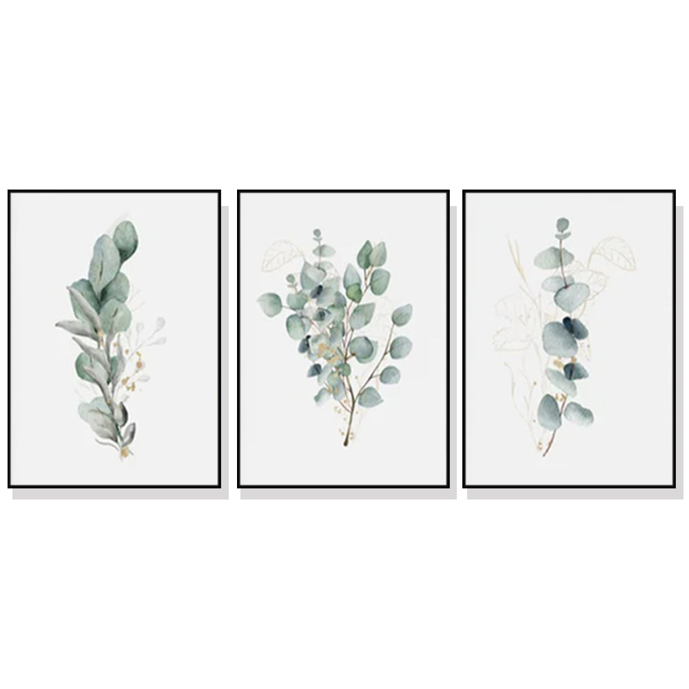 Eucalyptus Plant 3 Sets Black Frame Canvas Wall Art | 40cmx60cm