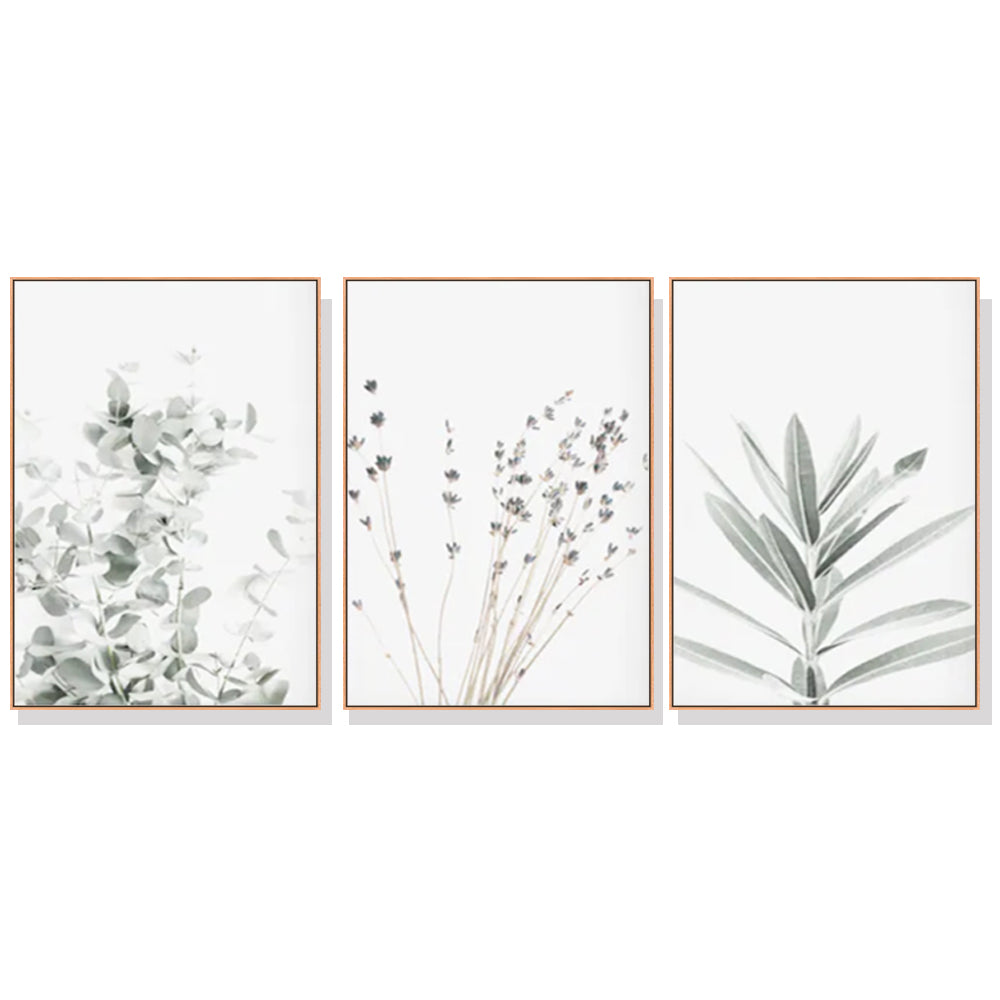 40cmx60cm Lavender Eucalyptus 3 Sets Wood Frame Canvas Wall Art | Modern Home Decor