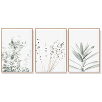 Thumbnail for 40cmx60cm Lavender Eucalyptus 3 Sets Wood Frame Canvas Wall Art | Modern Home Decor