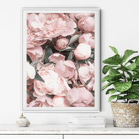 Thumbnail for 50cmx70cm Peony White Frame Canvas Wall Art