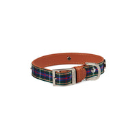 Thumbnail for Highland Blue Tartan Dog Collar Medium
