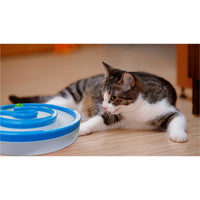 Thumbnail for Interactive Cat Track Circle with LED  Sound Light Rolling Ball - Chase Play Toy