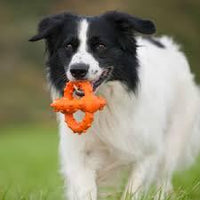 Thumbnail for Major Dog Octopus Retrieval Ball - Large - Fetch Toy