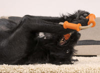 Thumbnail for Major Dog Tussle Dummy - Large - Tug Toy