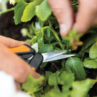 Thumbnail for Fiskars Softouch Micro-Tip Pruning Snips - Non-Coated Blades for Precise Trimming of Delicate Plants