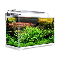 Thumbnail for Dynamic Power Aquarium Fish Tank 39L Starfire Glass