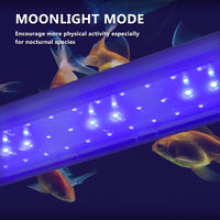 Thumbnail for Dynamic Power 2 Set 33W Aquarium Blue White LED Light for Tank 120-140cm