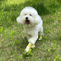 Thumbnail for Daeng Daeng Shoes 28pc M Blue Dog Shoes Waterproof Disposable Boots Anti-Slip Socks