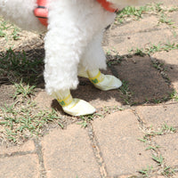 Thumbnail for Daeng Daeng Shoes 28pc M Blue Dog Shoes Waterproof Disposable Boots Anti-Slip Socks