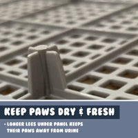 Thumbnail for PS KOREA Blue Dog Pet Potty Tray Training Toilet Raised Walls T1