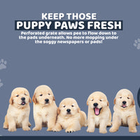 Thumbnail for PS KOREA Blue Dog Pet Potty Tray Training Toilet Raised Walls T1