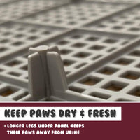Thumbnail for PS KOREA Wine Dog Pet Potty Tray Training Toilet Raised Walls T1