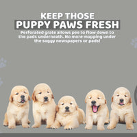 Thumbnail for PS KOREA Grey Dog Pet Potty Tray Training Toilet Detachable Wall T2