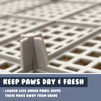 Thumbnail for PS KOREA Blue Dog Pet Potty Tray Training Toilet Portable T3