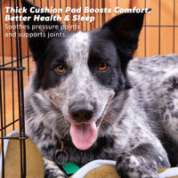 Thumbnail for Paw Mate Wire Dog Cage Foldable Crate Kennel 24in with Tray + Cushion Mat Combo
