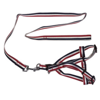 Thumbnail for YES4PETS 2 X Large Pet Dog Harness Collar leash lead