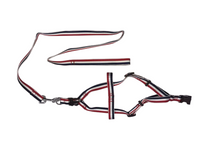 Thumbnail for YES4PETS 2 X Large Pet Dog Harness Collar leash lead