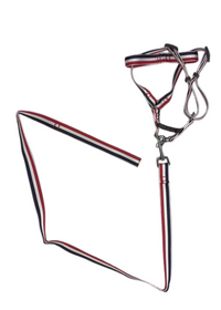 Thumbnail for YES4PETS 2 X Large Pet Dog Harness Collar leash lead