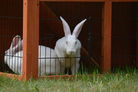 Thumbnail for YES4PETS Double Storey Rabbit Hutch Guinea Pig Cage , Ferret cage W Pull Out Tray