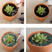 Thumbnail for 10x 6cm Flower Pot Pots Clay Ceramic Plant Drain Hole Succulent Cactus Nursery Planter