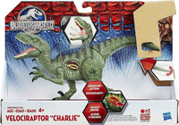 Thumbnail for Hasbro Jurassic World Growler Velociraptor “Charlie” With Sound and Lights 4+