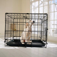 Thumbnail for 48 Inch Pet Dog Cage Kennel Metal Crate Enlarged Thickened Reinforced Pet Dog House