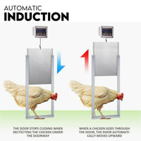 Thumbnail for Chicken Coop Door with Digital LCD Screen to manage Timer and Sensor