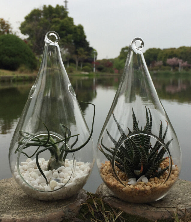 4 Pack of Hanging Clear Glass Tealight Candle Holder Tear Drop Pear Hour Glass Shape - 20cm High Terrarium Plant Mini Garden Holder D�cor Craft Gift