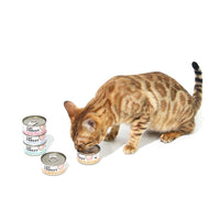 Thumbnail for CAT FOREST Classic Tuna White Meat With Shrimp In Gravy Cat Canned Food 85G X 24