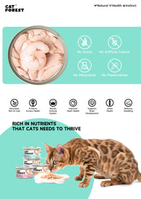 Thumbnail for CAT FOREST Classic Tuna White Meat With Shrimp In Gravy Cat Canned Food 85G X 24