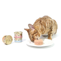 Thumbnail for CAT FOREST Premium Tuna White Meat With Shrimp In Gravy Cat Canned Food 85G X 24