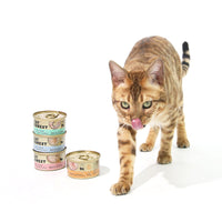 Thumbnail for CAT FOREST Premium Tuna White Meat With Shrimp In Gravy Cat Canned Food 85G X 24