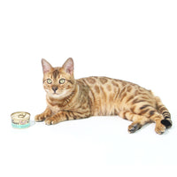 Thumbnail for CAT FOREST Premium Tuna White Meat With Mussel In Gravy Cat Canned Food 85G X 24