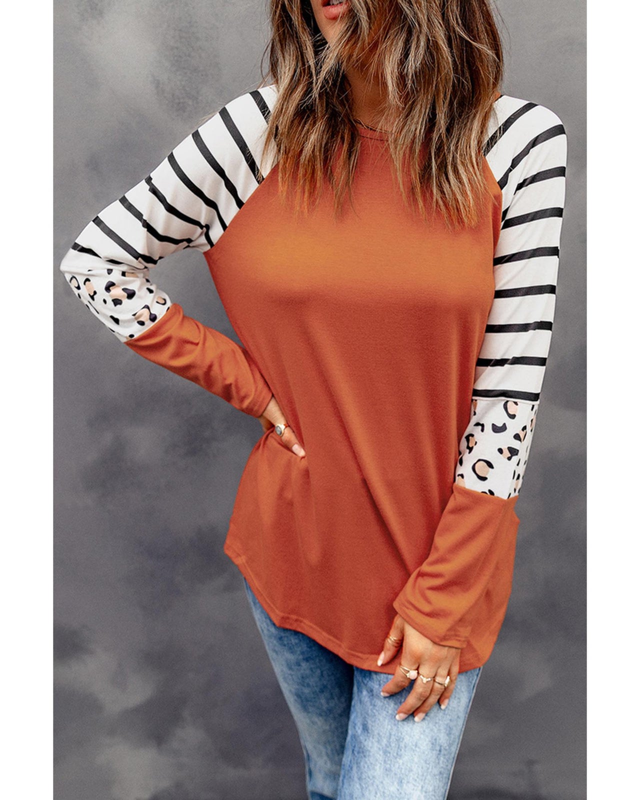 Azura Exchange Animal Print Long Sleeve Top with Striped Colorblock - 2XL