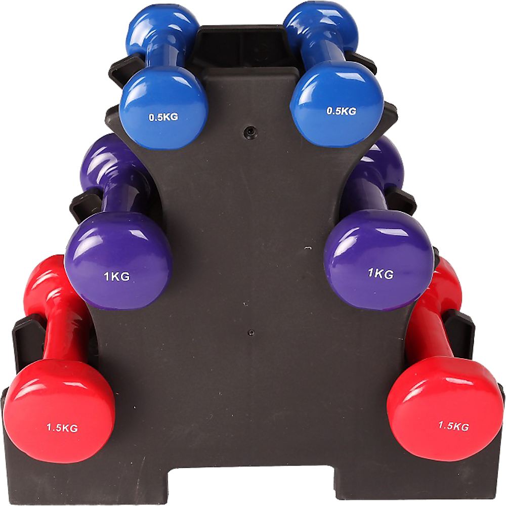 6-Piece Dumbbell Set with Rack