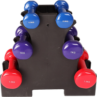 Thumbnail for 6-Piece Dumbbell Set with Rack