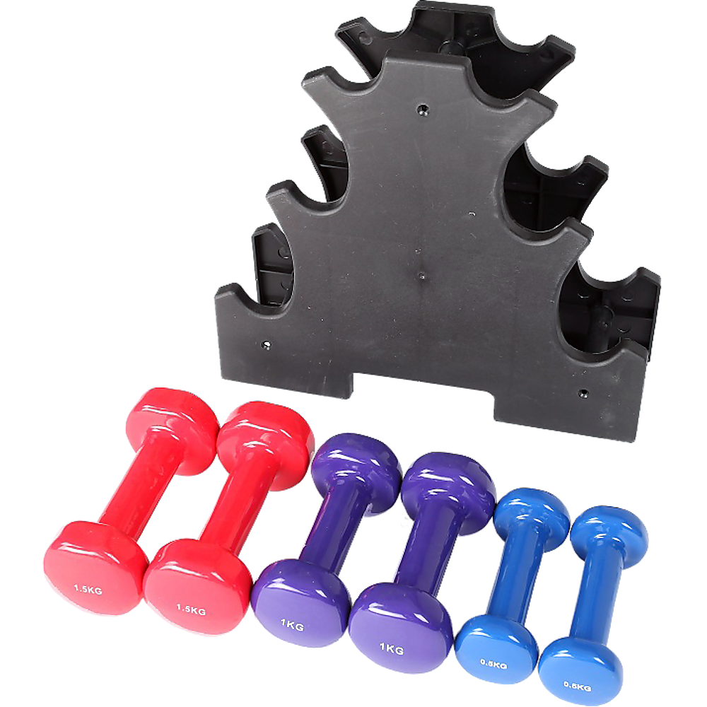 6-Piece Dumbbell Set with Rack