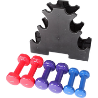 Thumbnail for 6-Piece Dumbbell Set with Rack