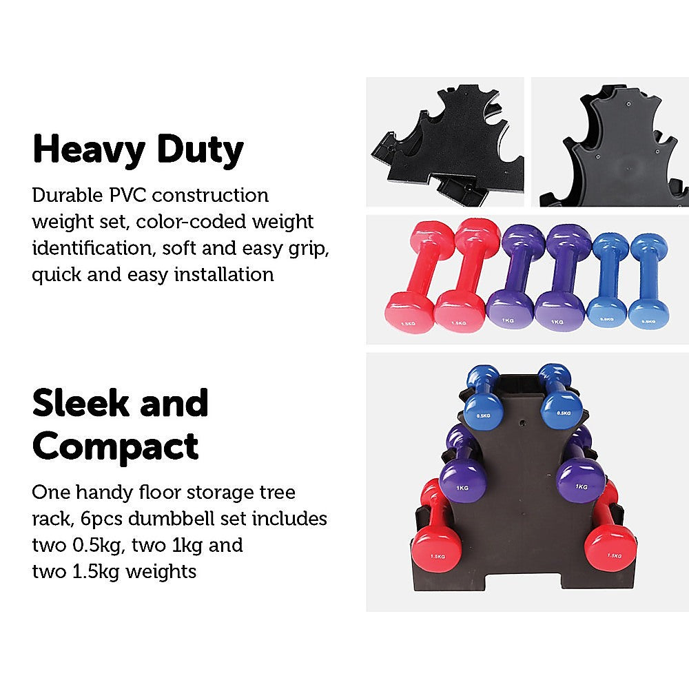 6-Piece Dumbbell Set with Rack