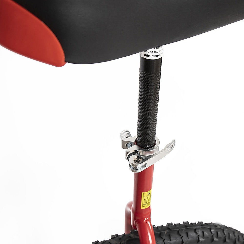 24'' Pro Circus Unicycle Bike