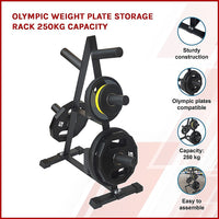 Thumbnail for Olympic Weight Plate Storage Rack 250kg Capacity