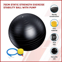 Thumbnail for 75cm Static Strength Exercise Stability Ball with Pump