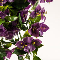 Thumbnail for Hanging Artificial Bougainvillea Plant Purple UV Resistant 90cm