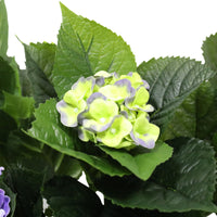 Thumbnail for Artificial Hydrangea 74cm - Mixed Purples And Yellows