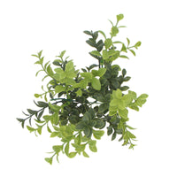 Thumbnail for Artificial Rounded Boxwood Stem UV 30cm