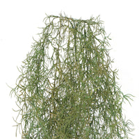 Thumbnail for Artificial Air Plant Spanish Moss UV Resistant 100cm