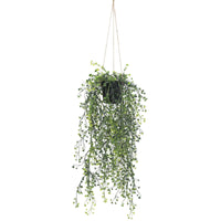 Thumbnail for Artificial Hanging Pearls (Potted) 56cm UV Resistant