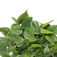 Thumbnail for Nearly Natural Artificial Philodendron Hanging Bush 75cm