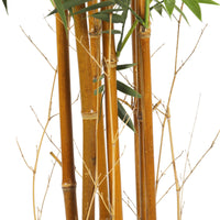 Thumbnail for Premium Natural Cane Artificial Bamboo (UV Resistant) 180cm